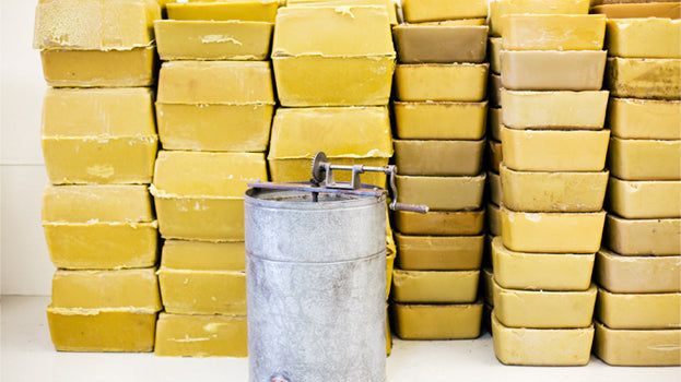 National Honey Bee Day