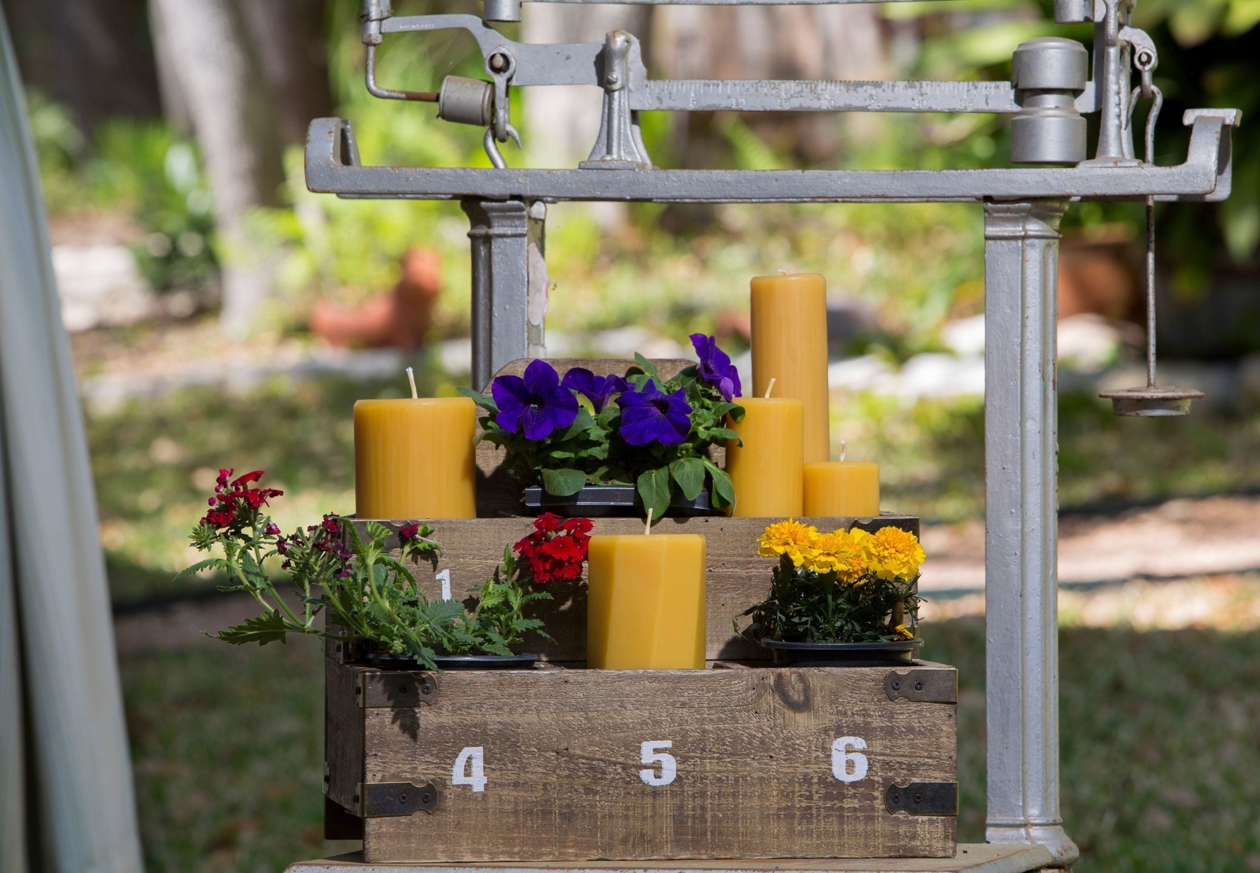 Planting a Bee-Friendly Garden for Pollinator Week