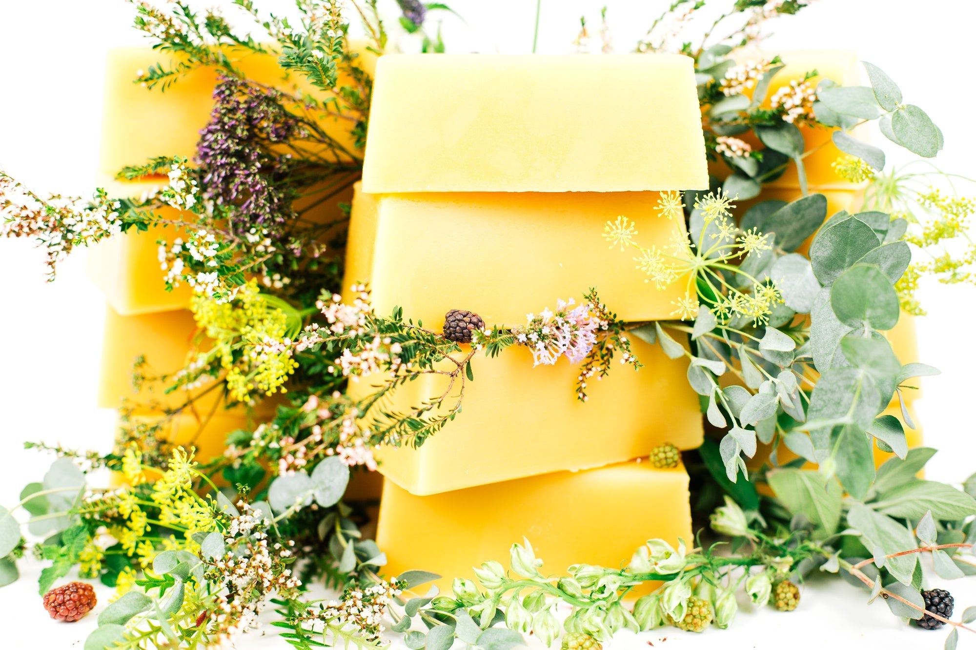 Pure Beeswax vs. Organic Beeswax