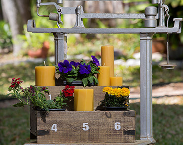 Beeswax: A Non-Toxic Wood Treatment for Your Raised Garden Bed