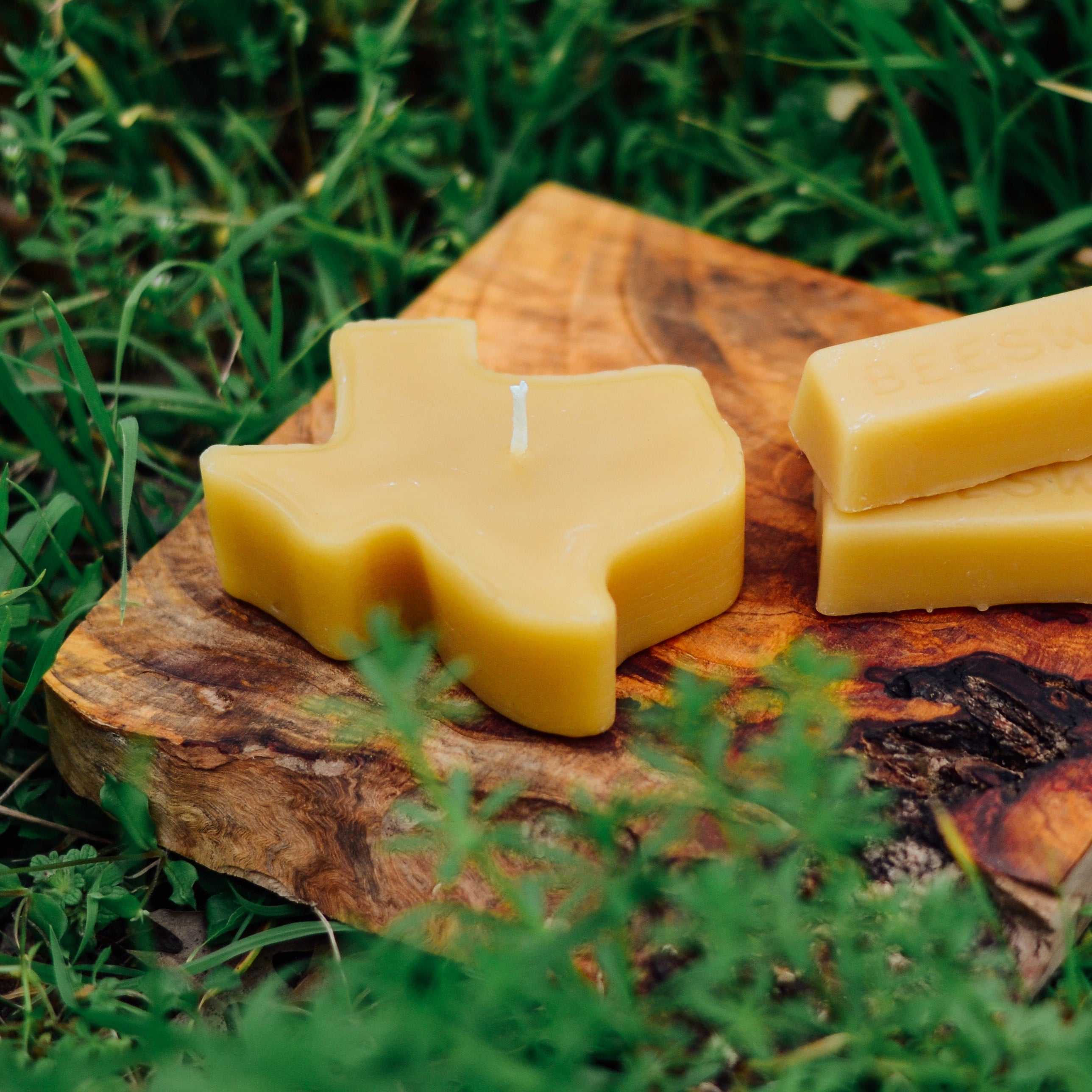 Texas Floating Beeswax Candle – The Beeswax Co.