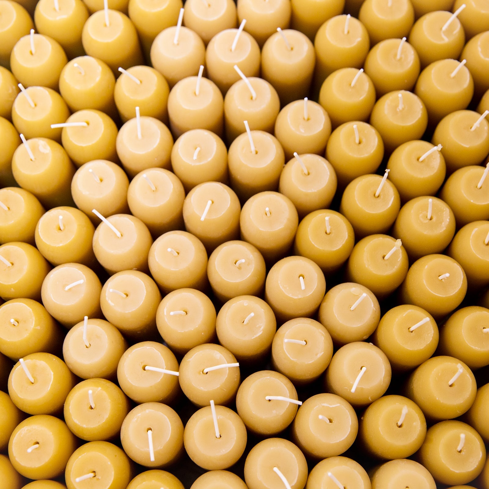 TX_Independence_2017-10.jpg?v=